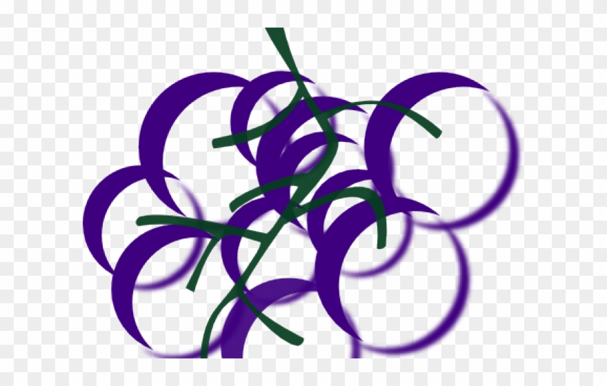 Grape Clipart Line Art - Wine Vines Clip Art - Png Download