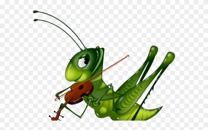 Grasshopper Clipart Grasshopper Insect - Transparent Crickets Clipart - Png Download