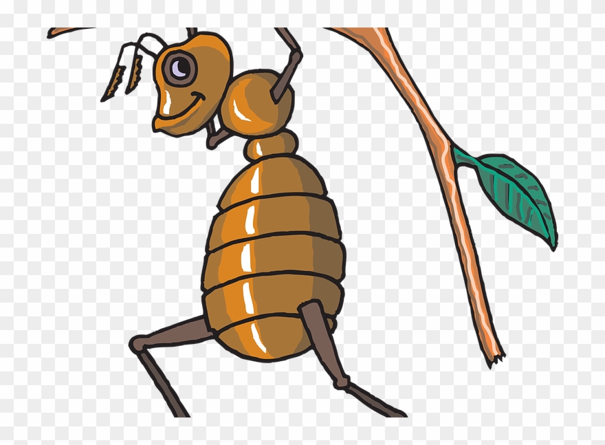 Dieting Lessons From The Ant And The Grasshopper - Free Vector Bee Clipart