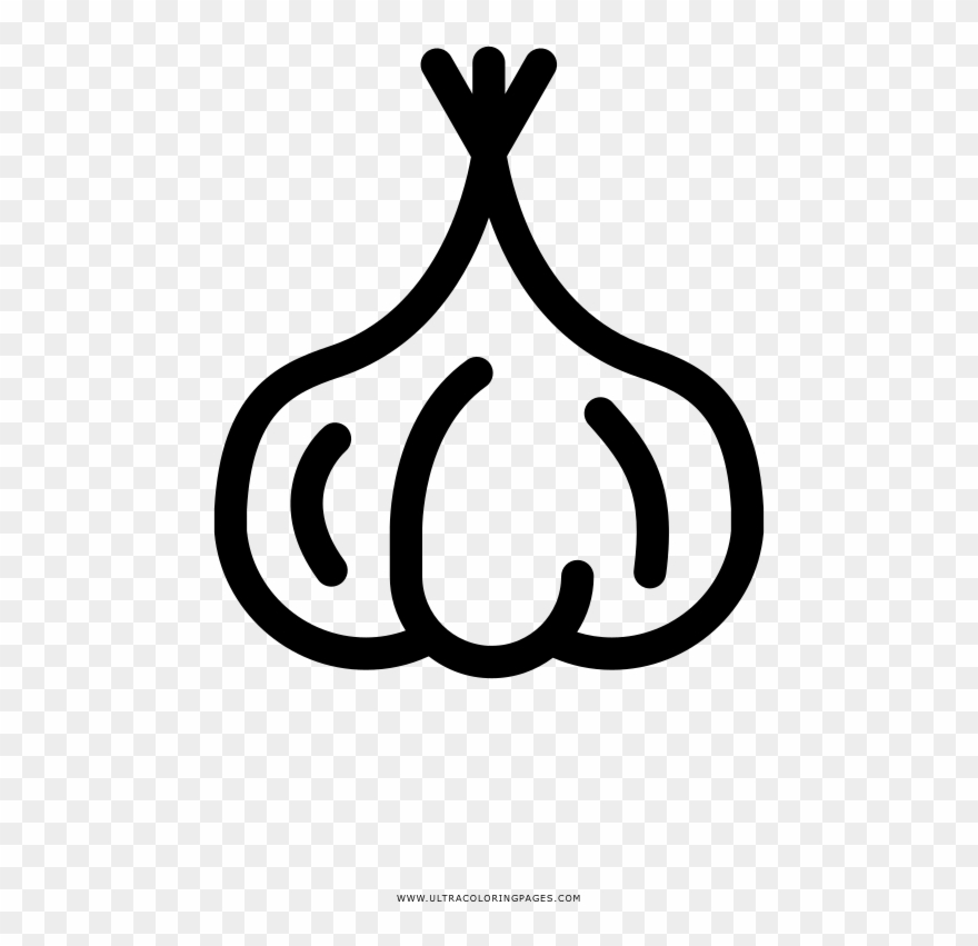 Garlic Coloring Page - Line Art Clipart