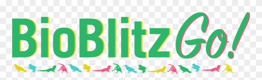 Zealandia And The Halo, Wellington - Graphic Design Clipart