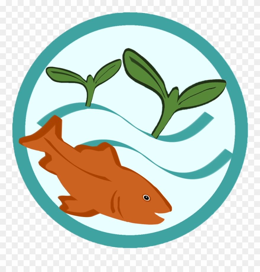 Learn About Aquaponics Grow Fish Plants Together - Aquaponics System Clipart - Png Download