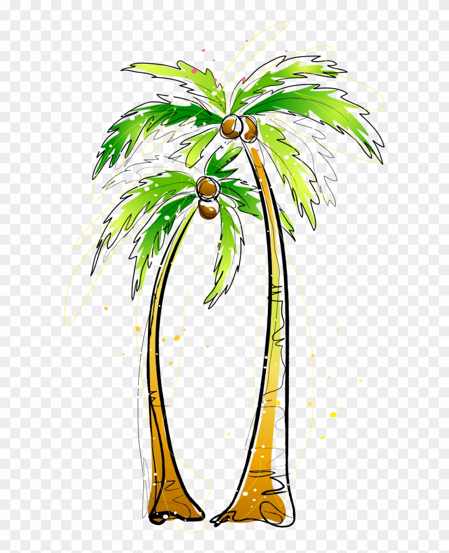 Svg Transparent Stock Arecaceae Coconut Illustration - Ilustrasi Pohon Kelapa Png Clipart