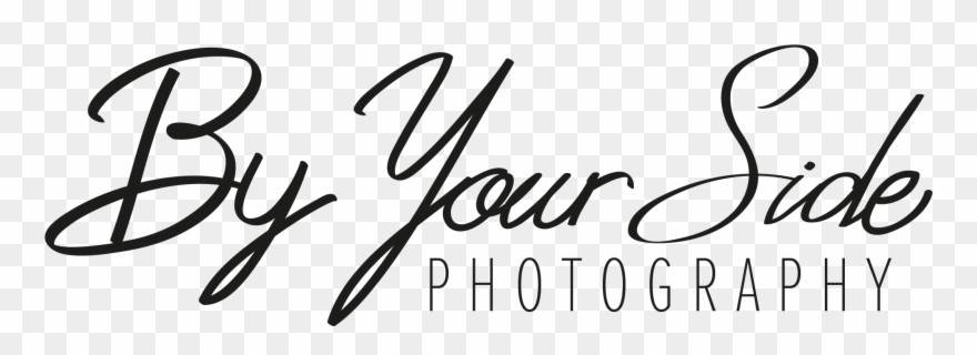 Steph N - Calligraphy Clipart