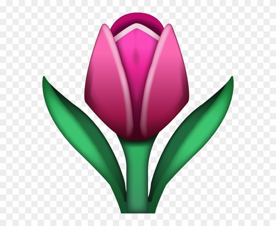 🌷 Emoji Png Clipart