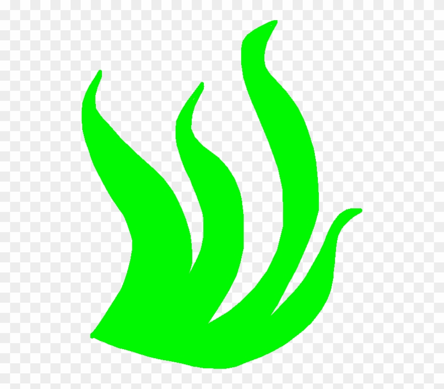 Seaweed - Seaweed Clipart