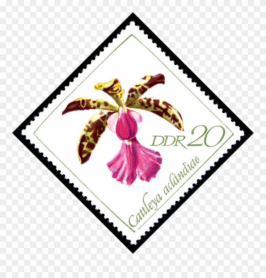 Stamps Of Germany 1968, Minr 1423 - Sbeitla Clipart