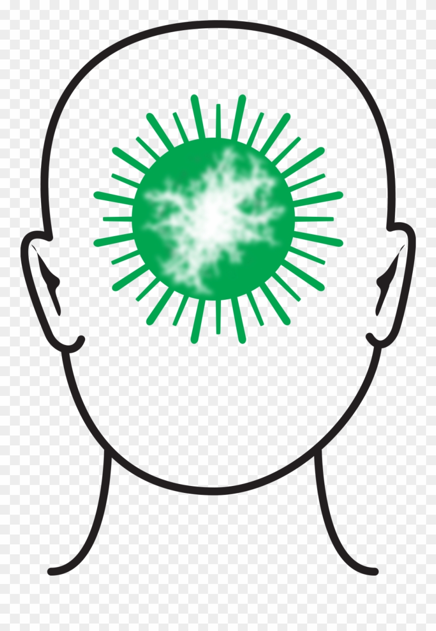 Cropped-a0057559 Ordermock 02061739 5 - Pbs Dark Money Clipart