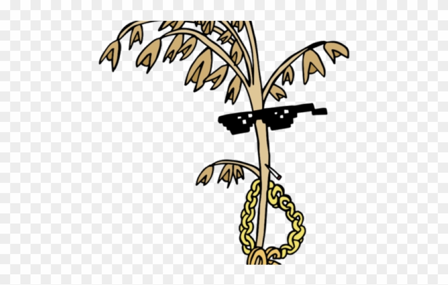 Oat Clipart Nutrition Health - Png Download