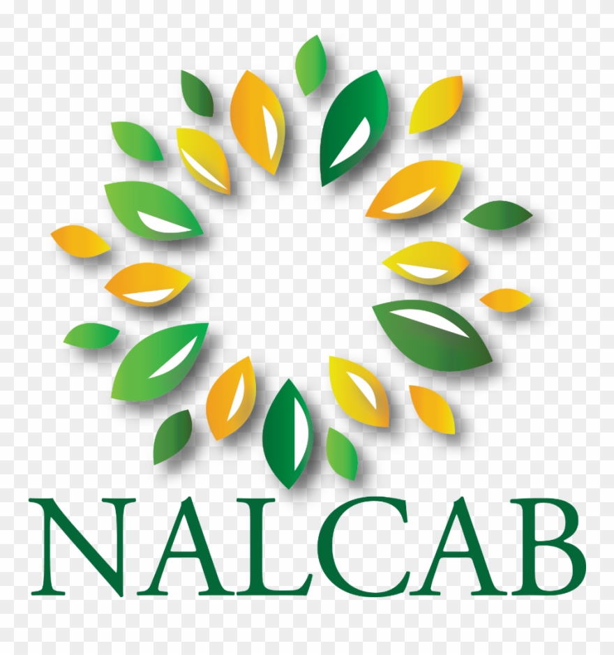 Community Clipart Nation Building - Benalla Rural City Council - Png Download