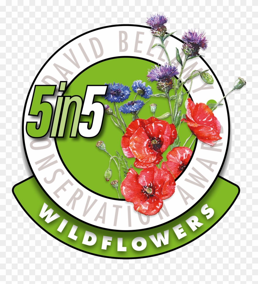 Like Borders Hideaway On Facebook - David Bellamy Award Clipart