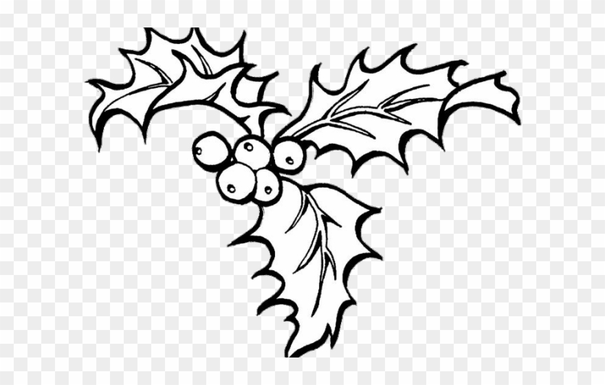 Holley Clipart December - Christmas Coloring Pages Holly - Png Download