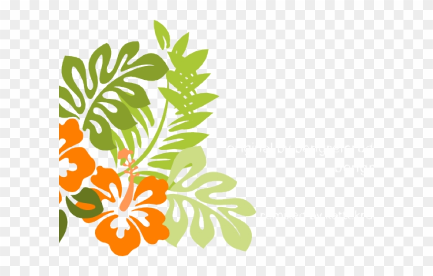 Hibiscus Clipart Hibiscus Flower - Hawaii White And Black Flower - Png Download