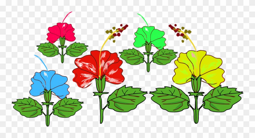 Hibiscus Red Flower Png - Chinese Hibiscus Clipart