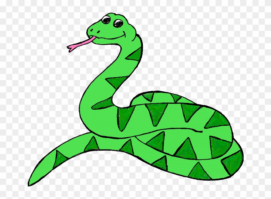 The Gallery For > Cartoon Rainforest Snake - Snake Images Clipart - Png Download