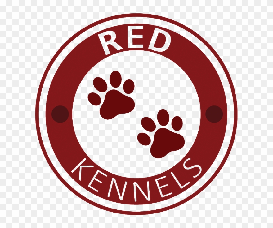 3 Month Old Labrador - Circle Clipart