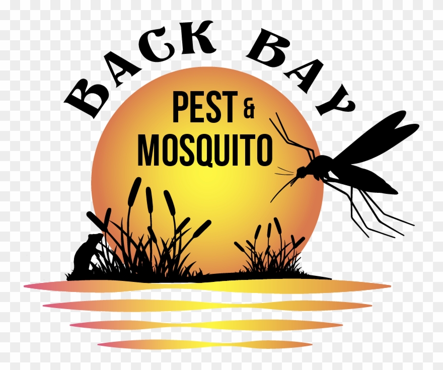 About Us - Illustration Clipart