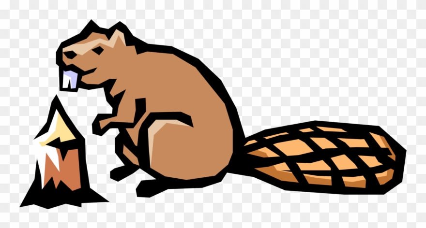 Vector Illustration Of Nocturnal Semiaquatic Rodent Clipart