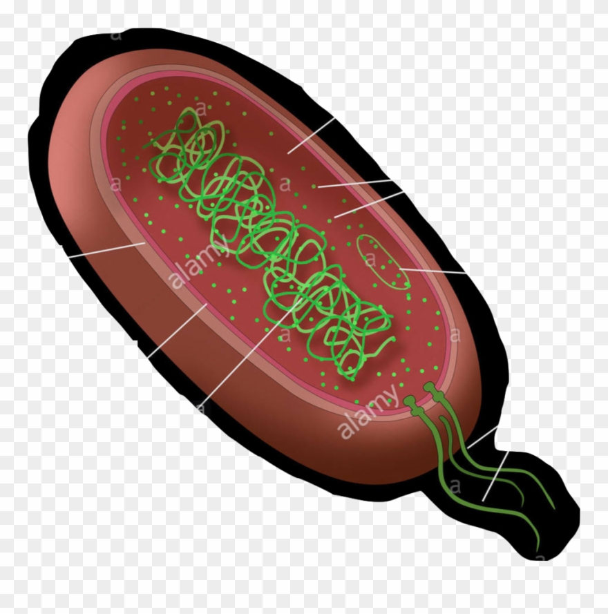 Location - Illustration Clipart