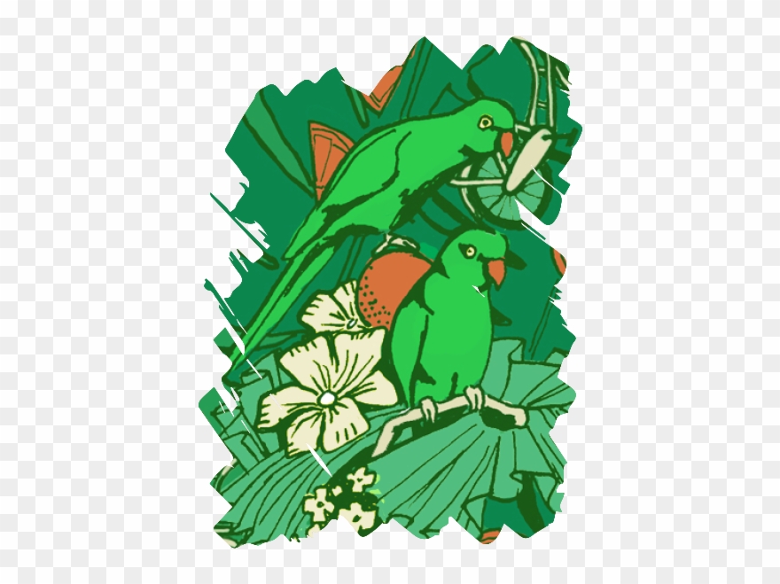 The One That Never Sleeps - Gebrouwen Door Vrouwen Donker Wit Clipart