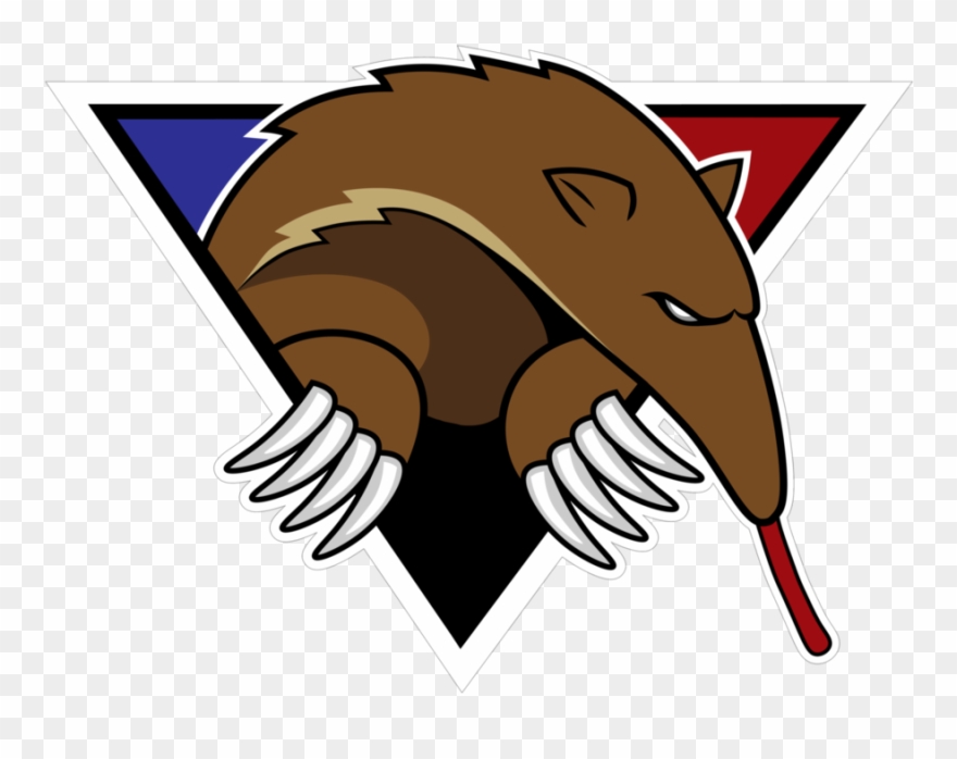 Anteaters Sport Club- Logo 2018, Tools - Armadillo Clipart