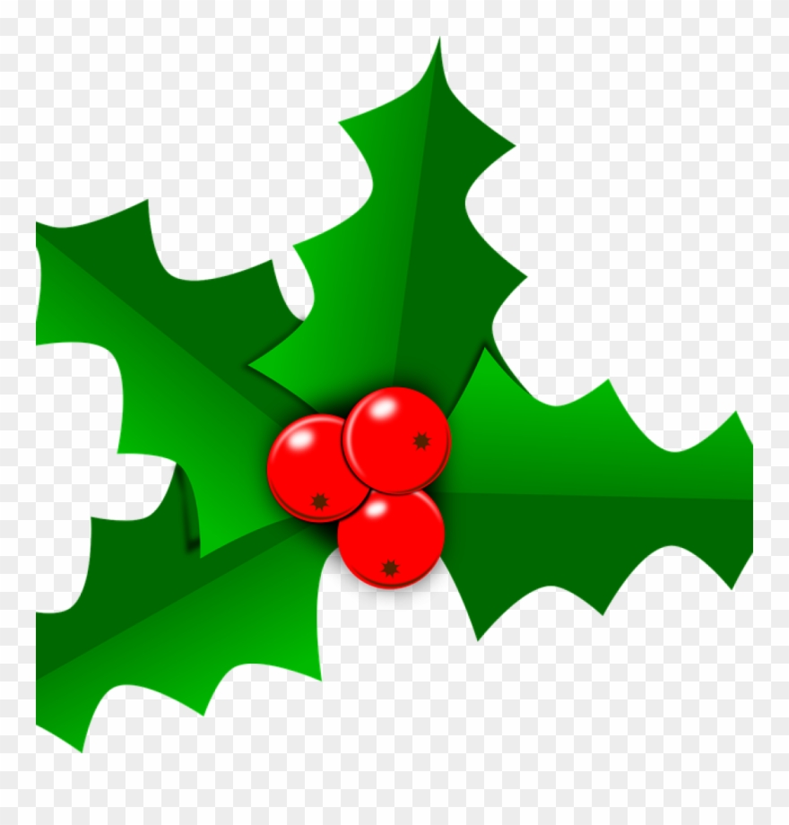 Holly Images Free Holly Christmas Leaf Free Vector - Hojas De Nochebuena Png Clipart