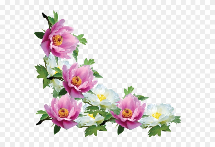 Göktepeliler Vintage Flowers, Ikebana, Fabric Painting, - Rosa Rubiginosa Clipart