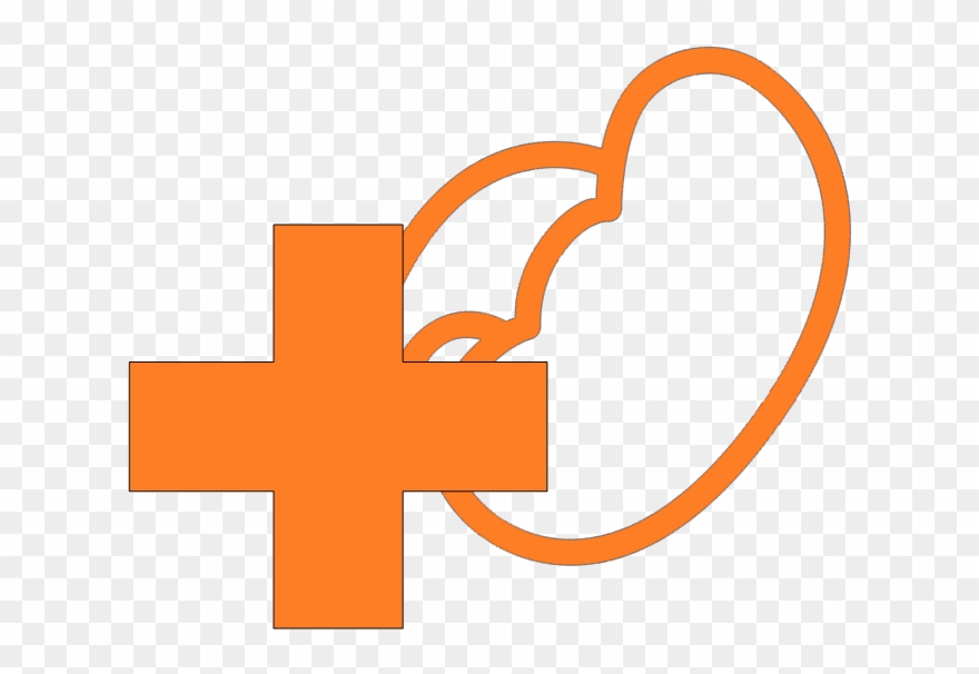 Optimal Preemptive Kidney Transplant Timing Decision - Cross Clipart