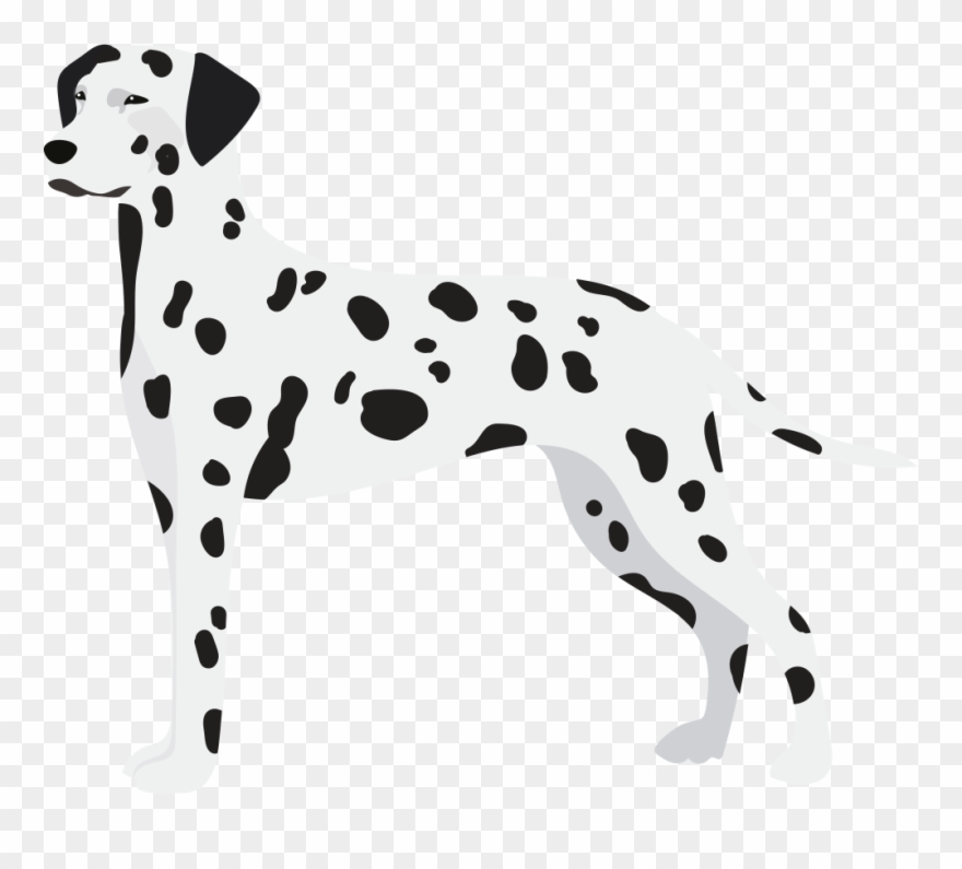 Dalmatian Clipart