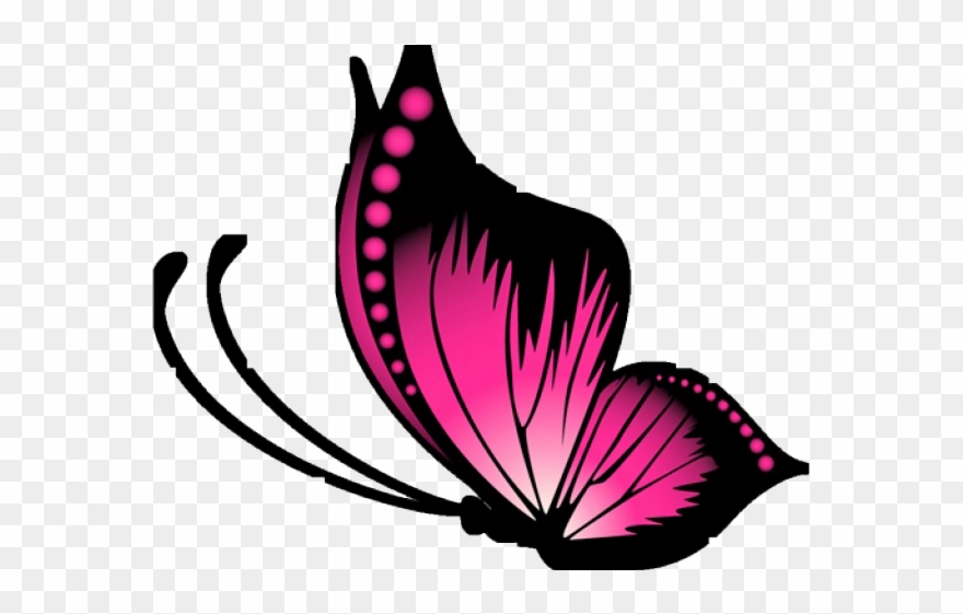 Pink Butterfly Vector Png Clipart