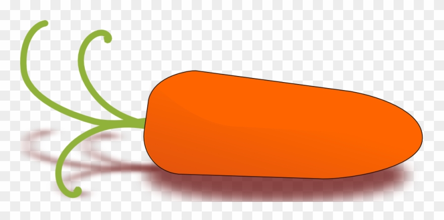 Little Carrot - Orange Things Clip Art - Png Download