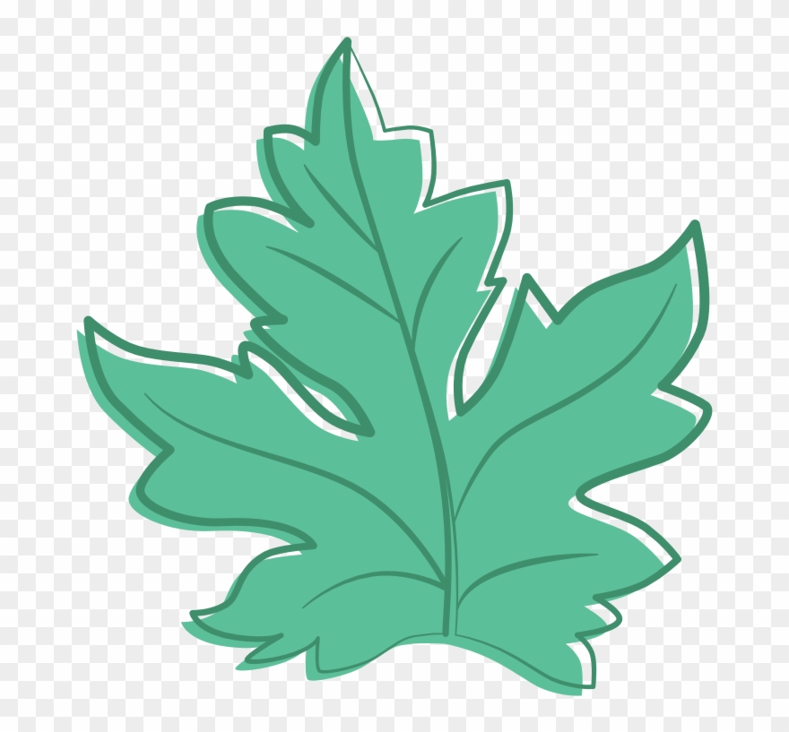 Maple Leaf - Water Melon Leaf Clipart