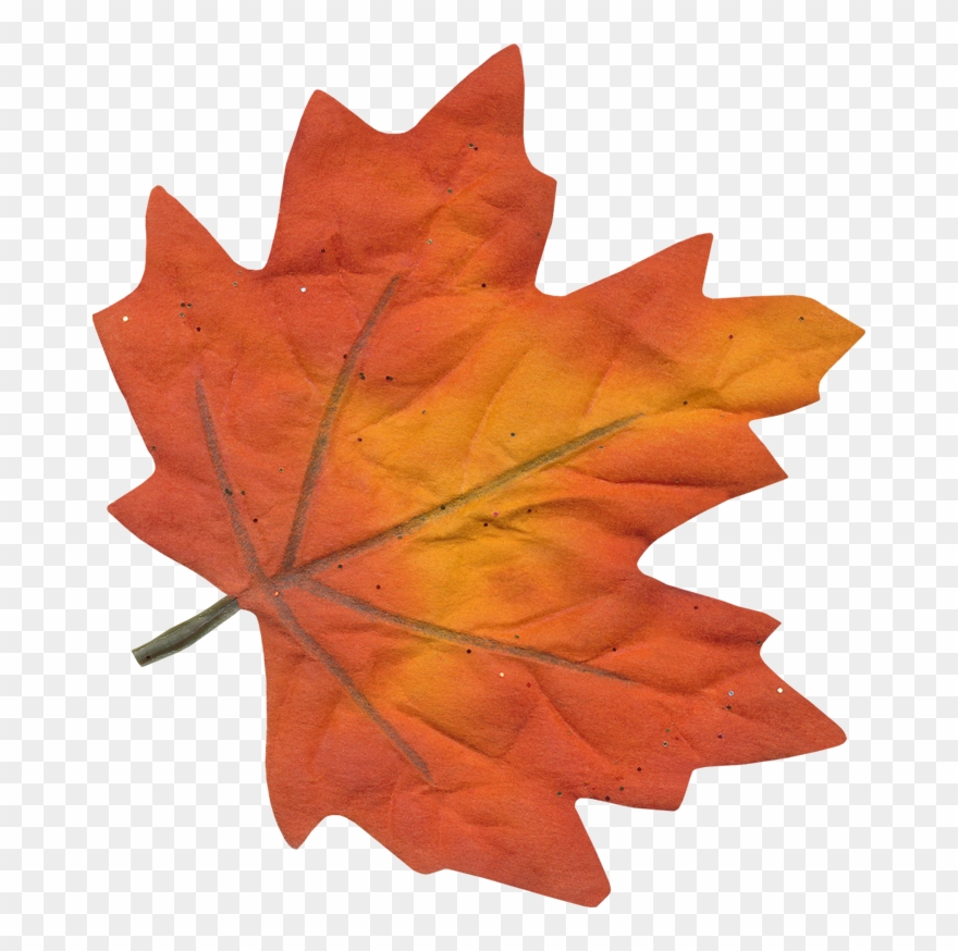 Фотки Art Floral, Sissi, Tapis Houqué, Clip Art, Herbe, - Maple Leaf - Png Download