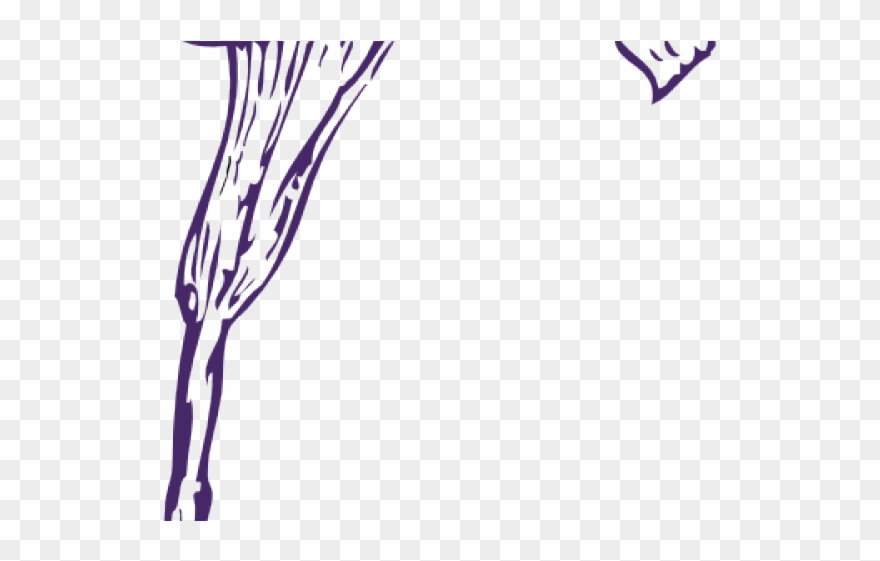 Purple Clipart Calla Lilies - Calla Lily Clip Art - Png Download