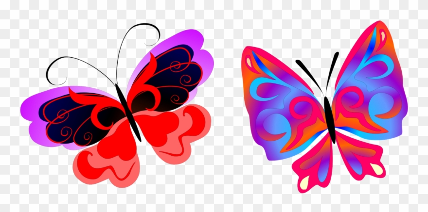 Mariposas Libélulas - Desenho Coloridos Para Imprimir Borboletas Clipart