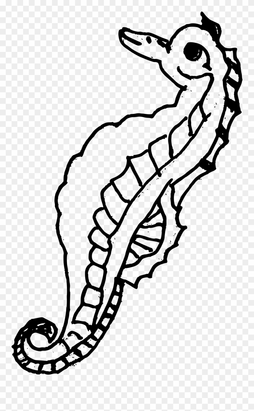 1517 X 2389 3 - Illustration Clipart