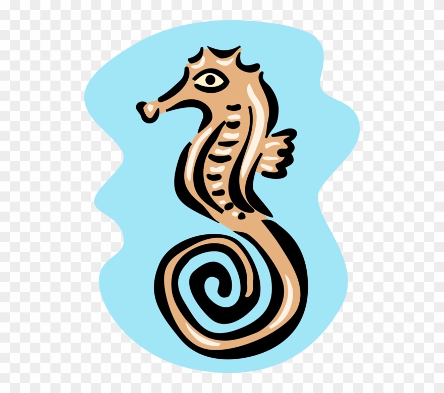 Vector Illustration Of Marine Fish Hippocampus Genus - Zeepaardje Clipart