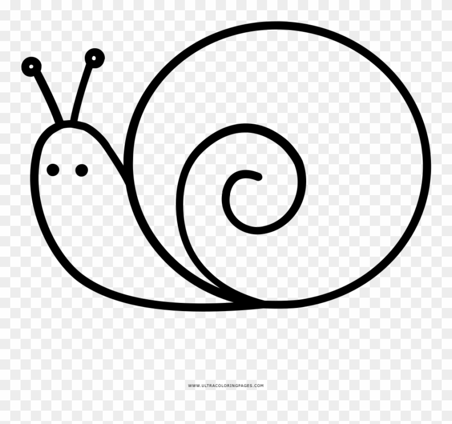 Snail Coloring Page - Snail Clipart