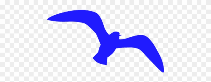 Accept And Continue - European Swallow Clipart