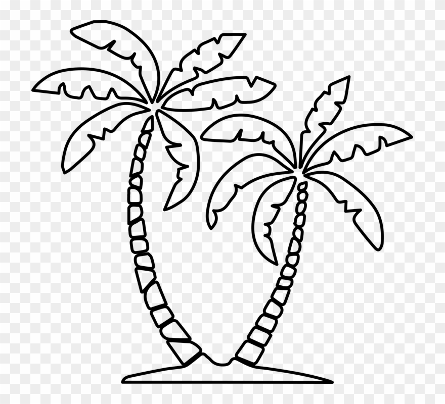 Drawn Palm Tree Palma - Palma Drawing Clipart