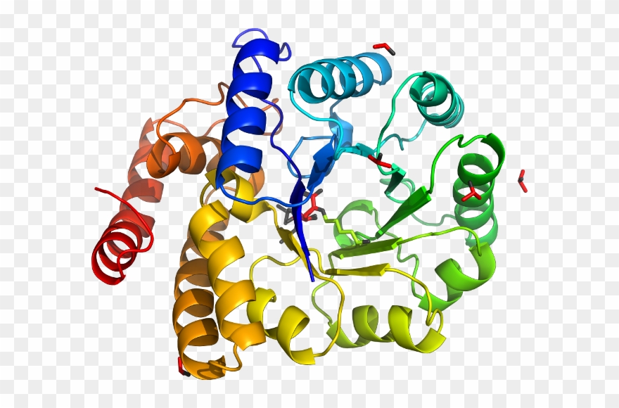 D6g3za In Context Of Chain Clipart
