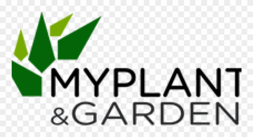 0 Replies 0 Retweets 1 Like Clipart