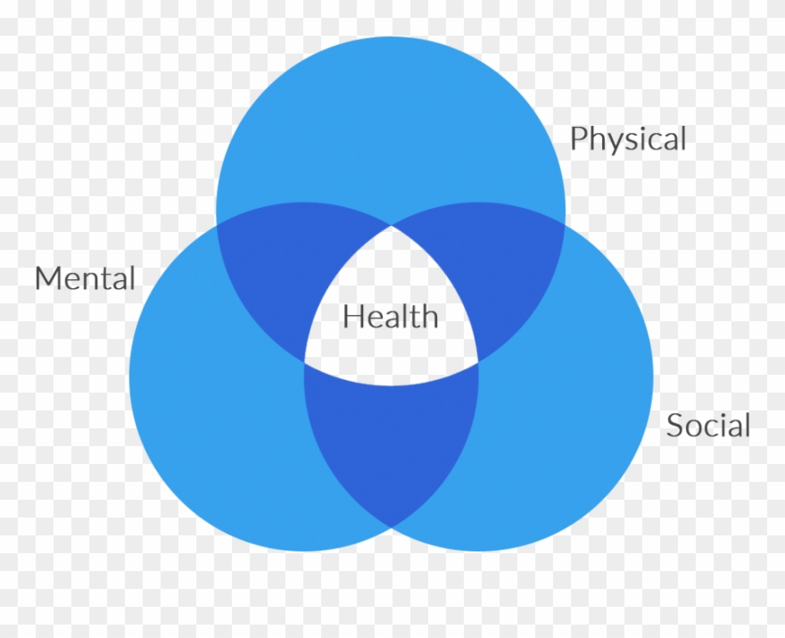 Research Is Uncovering Three Inextricably Linked Elements - Circle Clipart