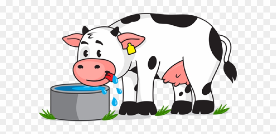 Cattle Clipart Animal Diet - Freedom From Hunger And Thirst Animals - Png Download