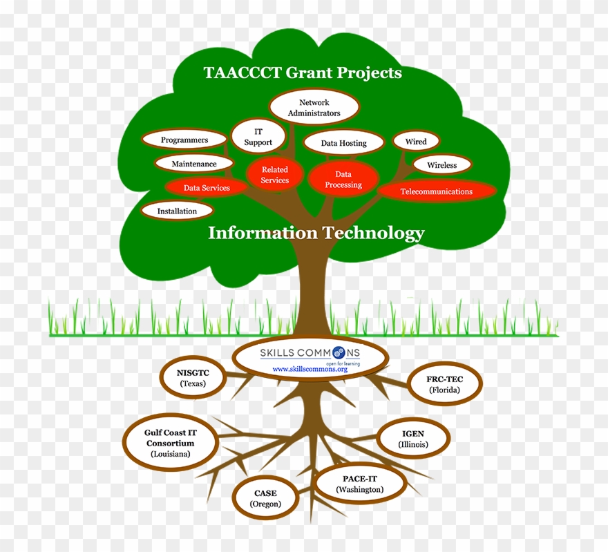 Taaccct Grant Projects In It - Arbol De La Salud Clipart