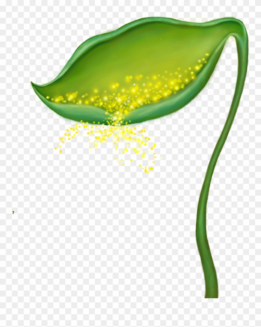 Beginner Ideas For Fairy Gardens Clipart