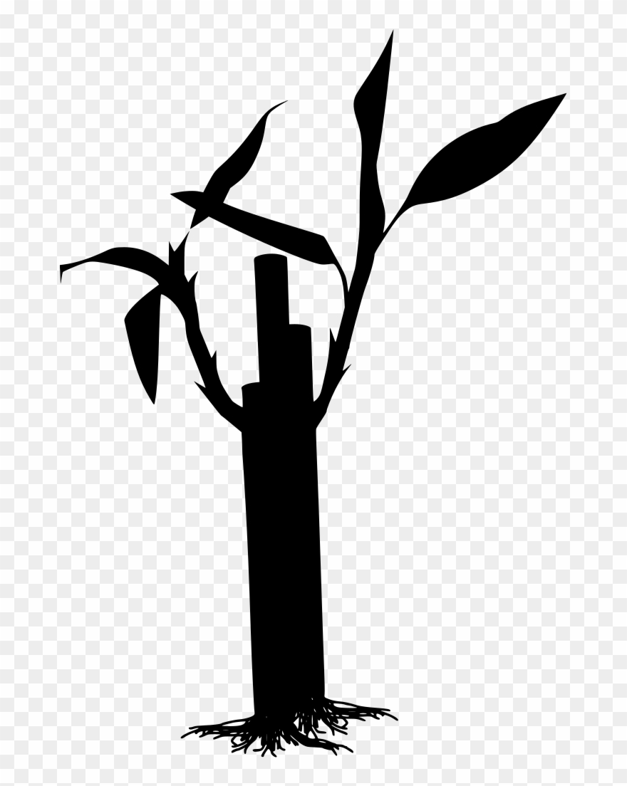 Download Png - Pohon Bambu Vector Png Clipart