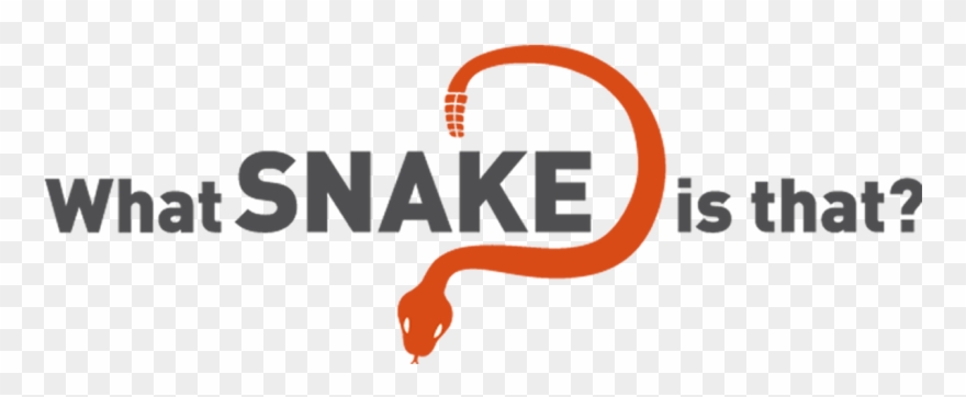 Graphic Design Clipart
