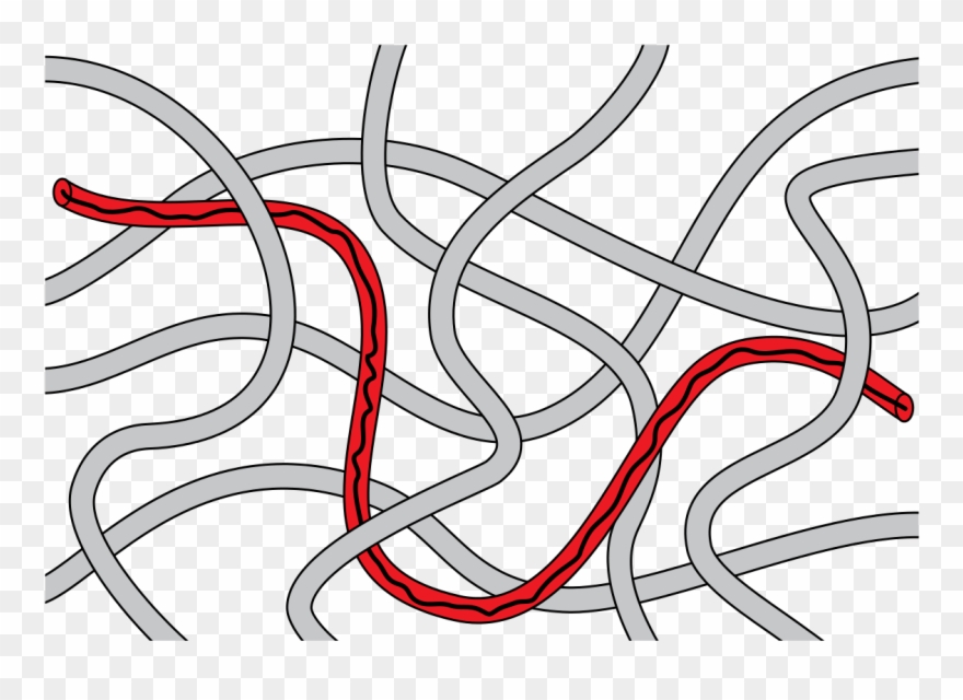 Reptation - Polymer Reptation Clipart