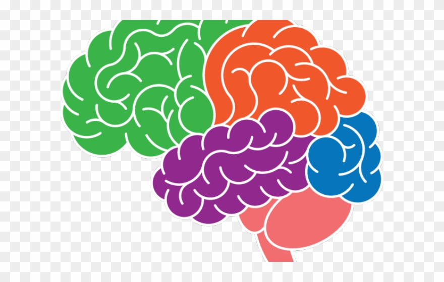 Brain Clipart Electricity - Png Download